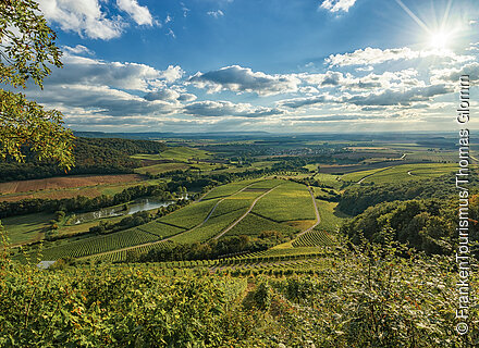 Blick auf die Weinberge bei Oberschwarzach