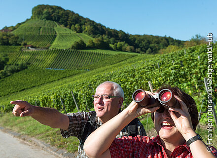 Am Kelten-Erlebnisweg im Handthal