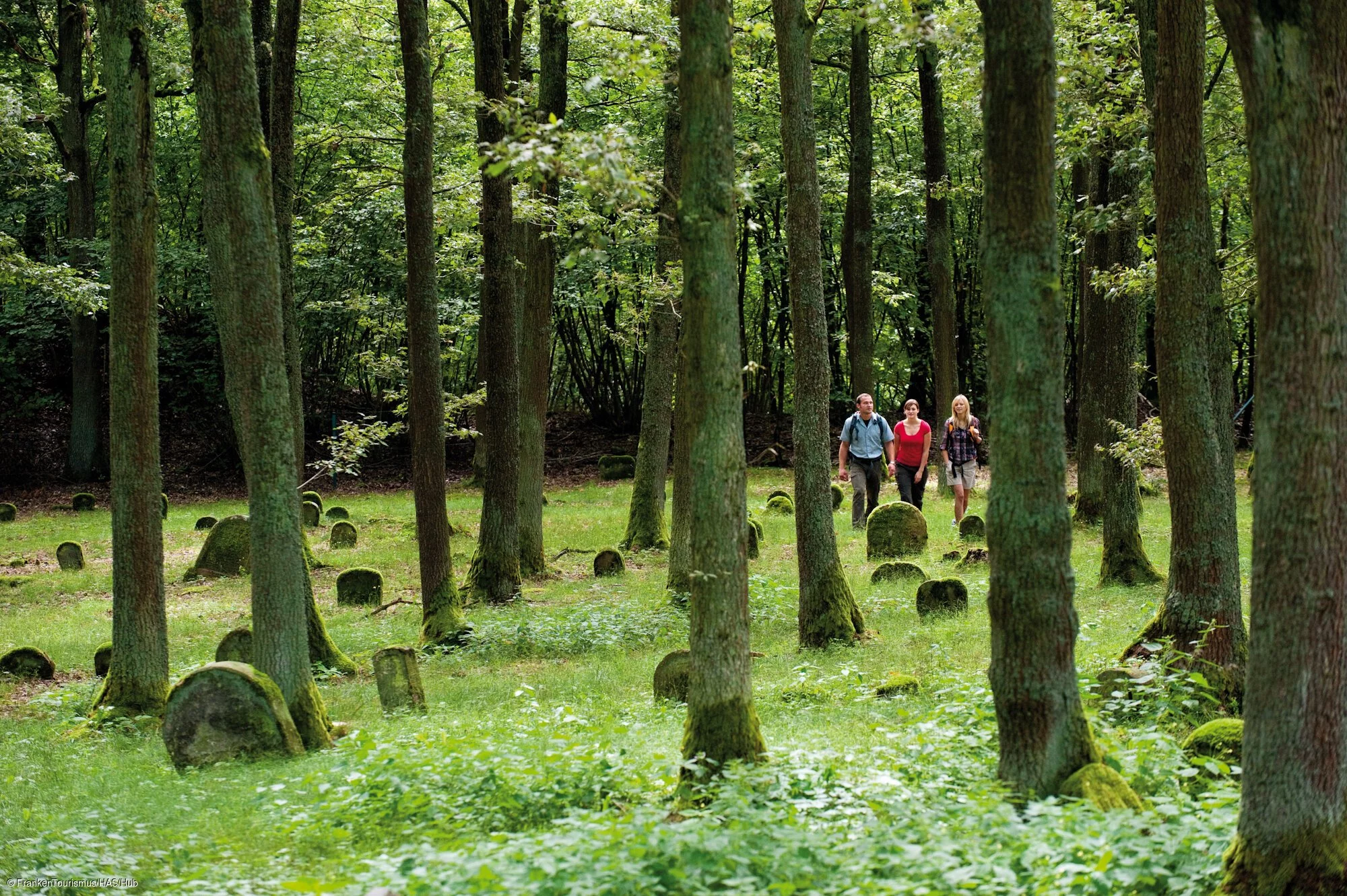 Judenfriedhof Kleinbardorf (Keltische Höhensiedlung)