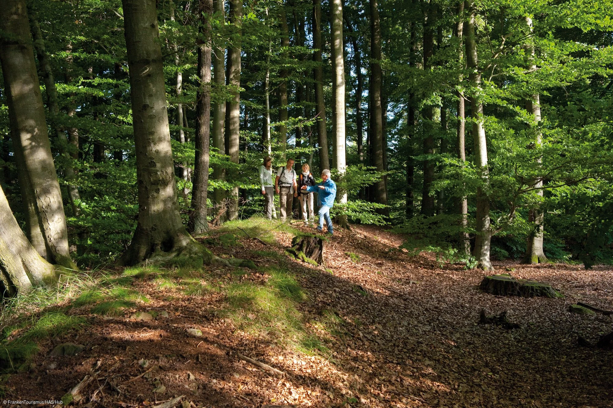 Schwedenschanze, Keltische Höhensiedlung