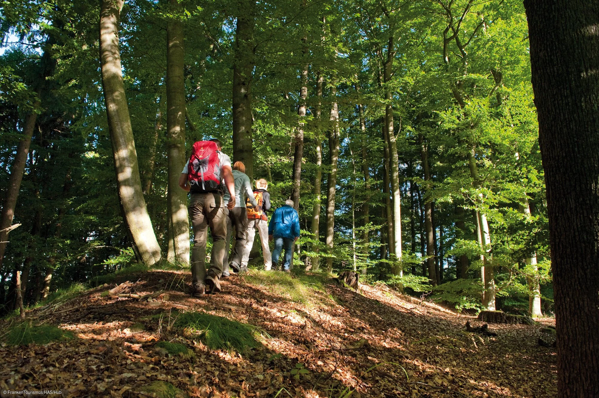 Schwedenschanze, Keltische Höhensiedlung