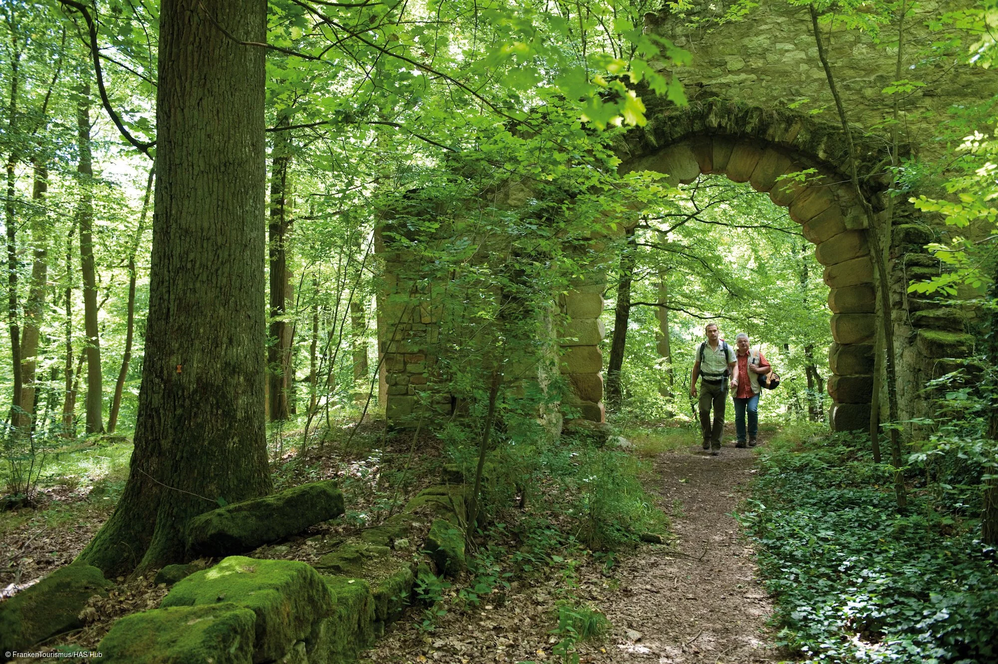 Landschaftspark Bettenburg