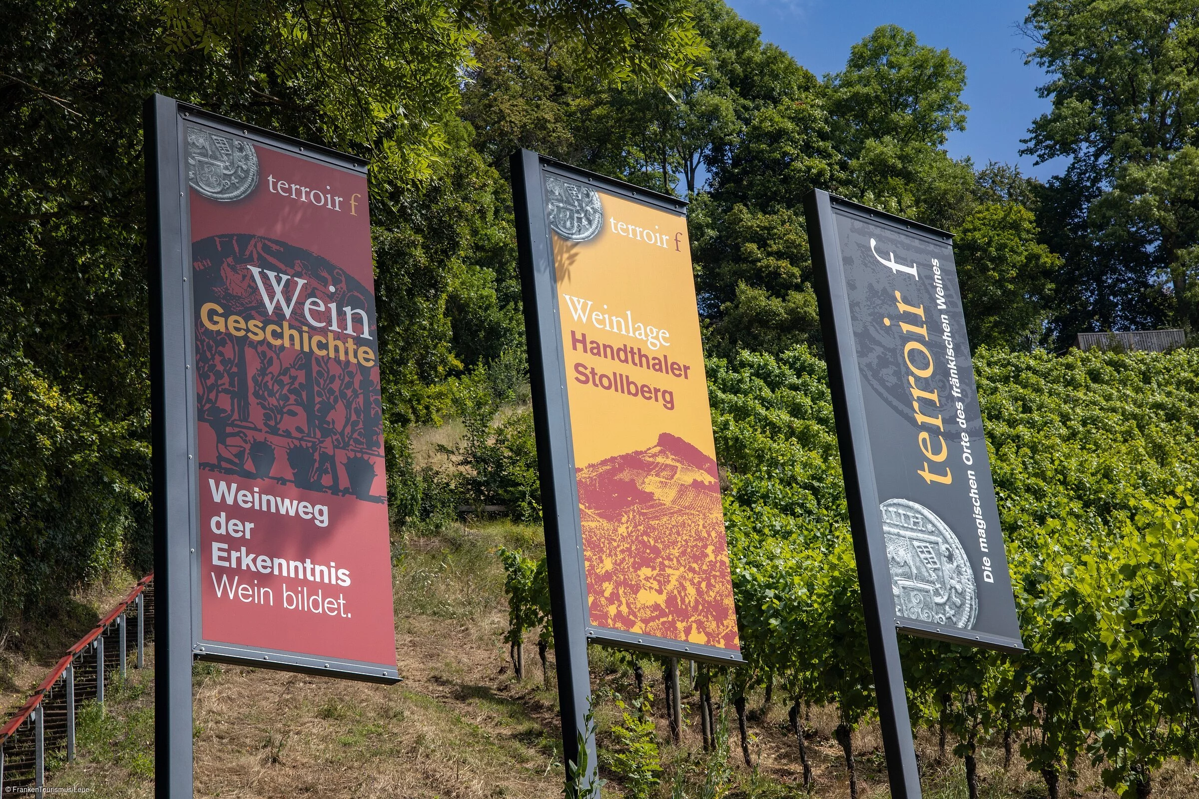 terroir-f "Oberschwarzach-Handthal" in der Weinlage Handthaler Stollburg