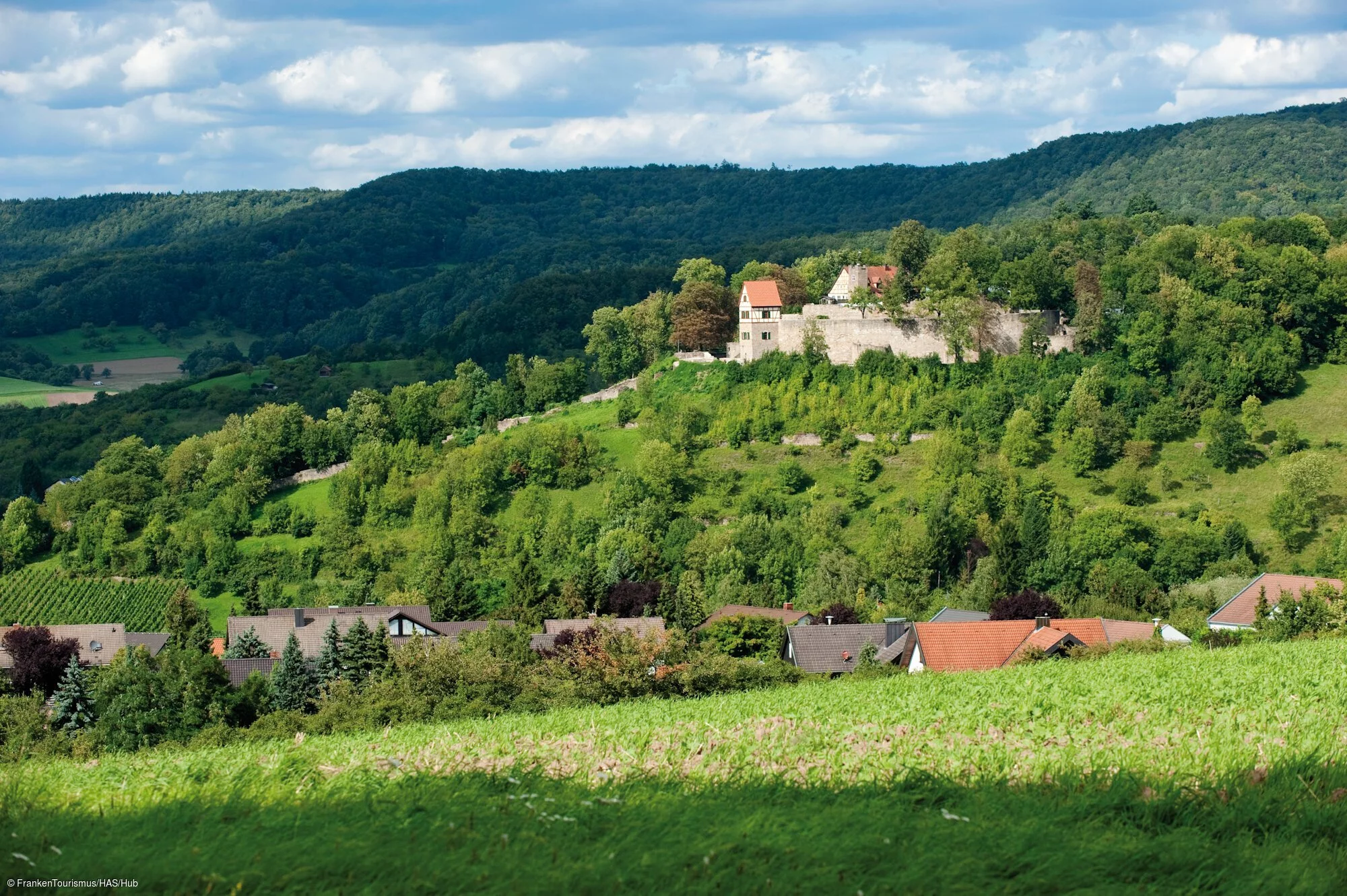 Aussichtsturm "Wart" - Blick Schlossberg