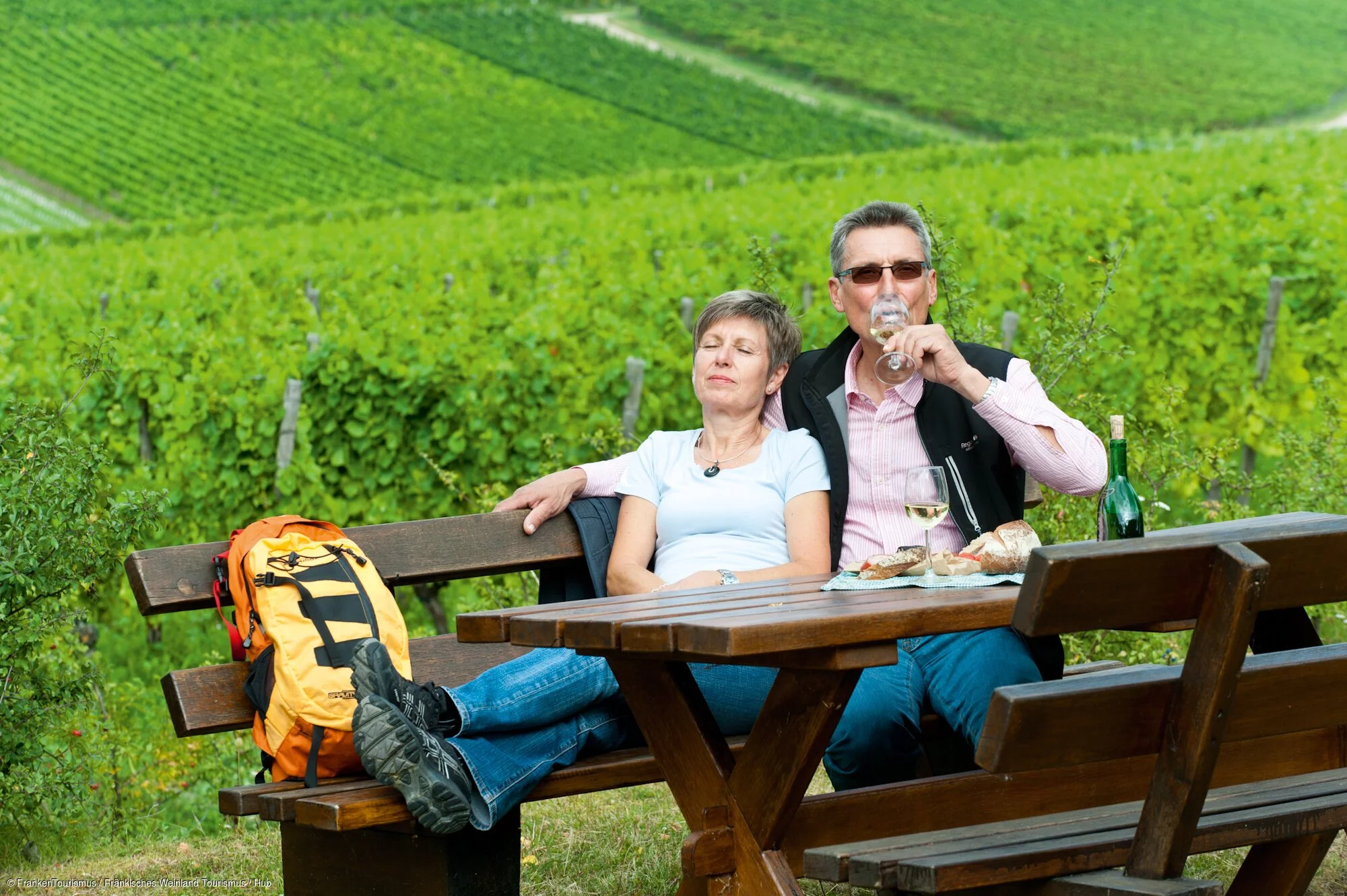 Picknick in den Weinbergen bei Iphofen