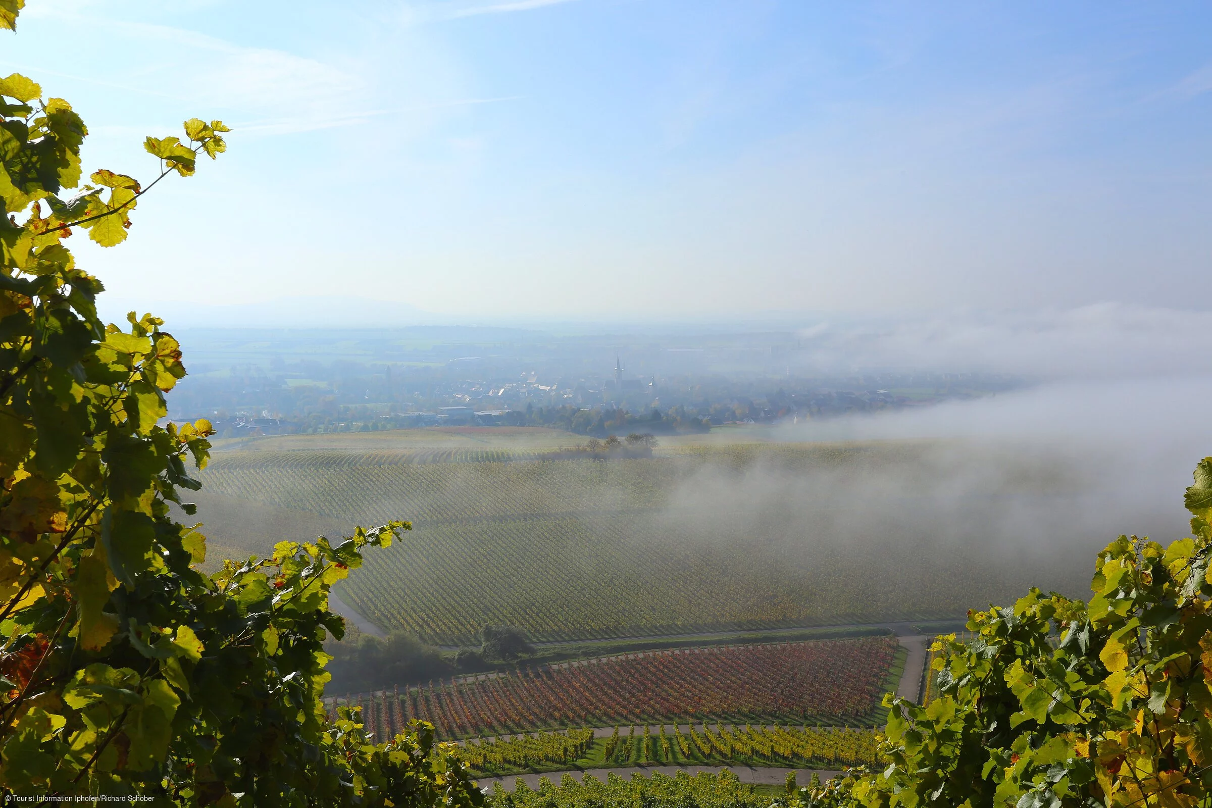 Julius-Echter-Berg im Herbstnebel
