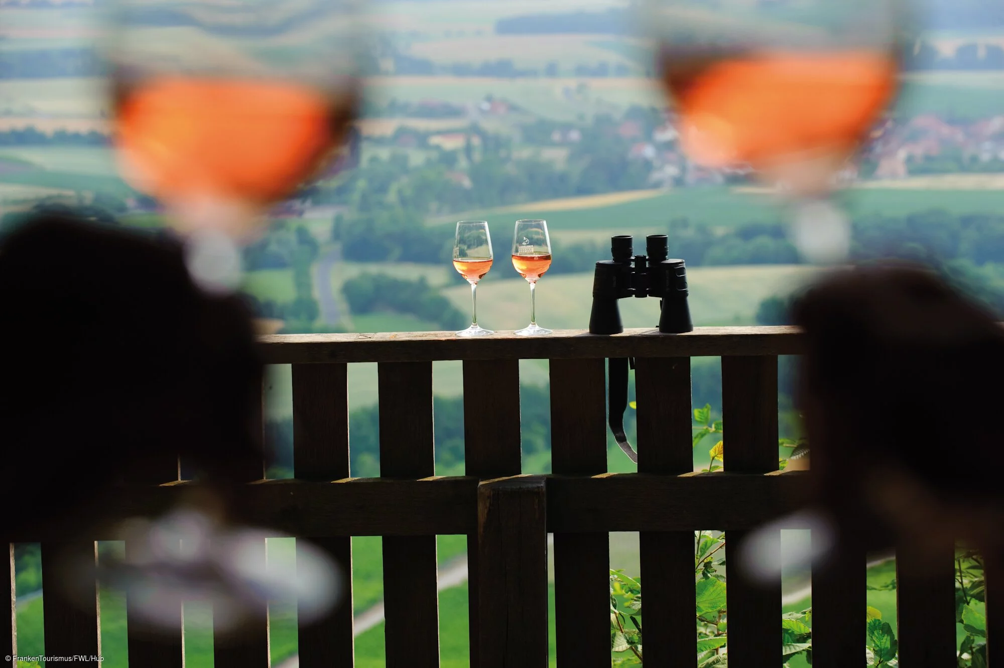 Weingenuss im Handthal bei Oberschwarzach