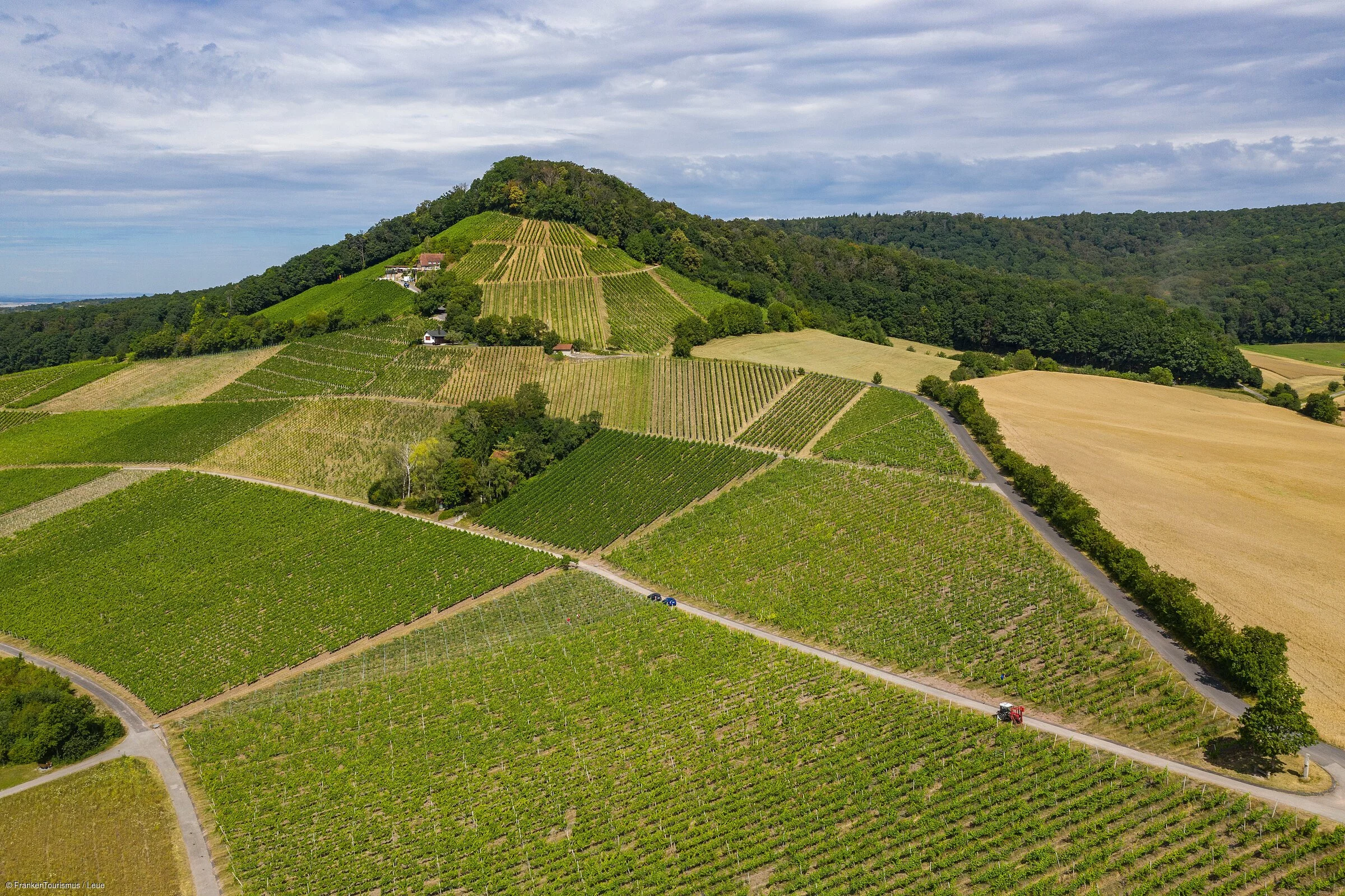 terroir-f "Oberschwarzach-Handthal" in der Weinlage Handthaler Stollburg