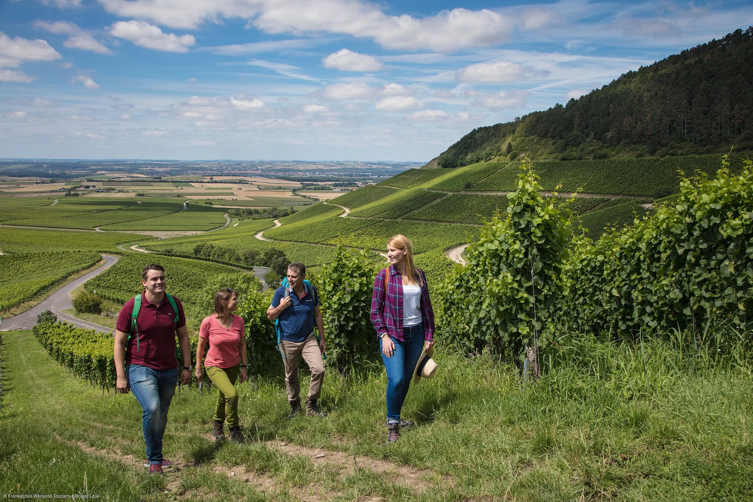 Eine Gruppe Wander:innen auf dem Weg durch grüne Weinberge, im Hintergrund der Blick über Felder