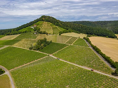 terroir-f "Oberschwarzach-Handthal" in der Weinlage Handthaler Stollburg