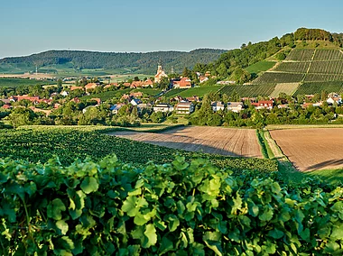 Ausblick auf Castell