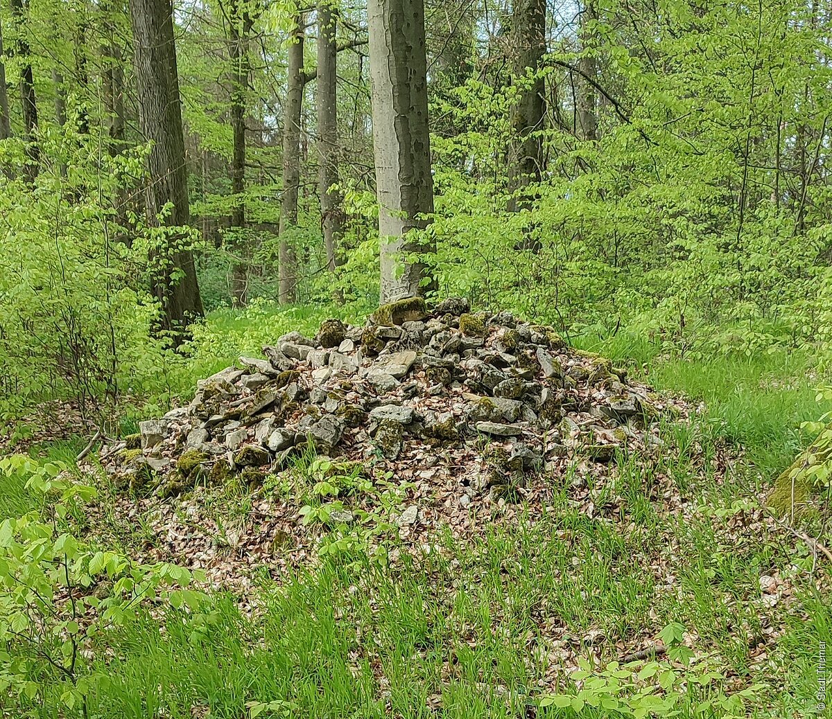 Ein Erdhügel um geben von grünem Wald