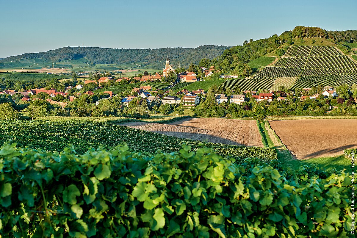 Ausblick auf Castell